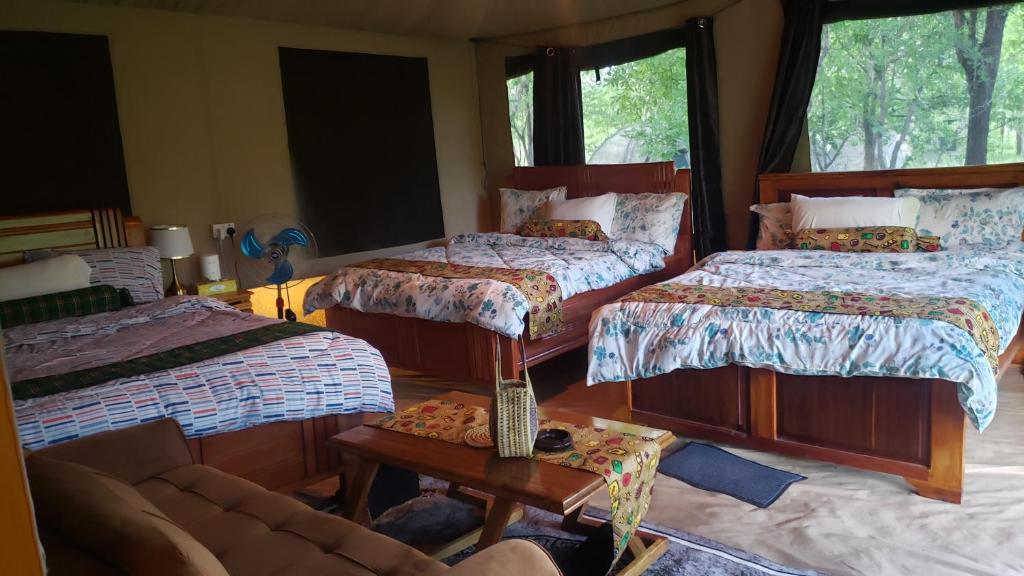 Doublegsafaris and camp mikumi photo 2