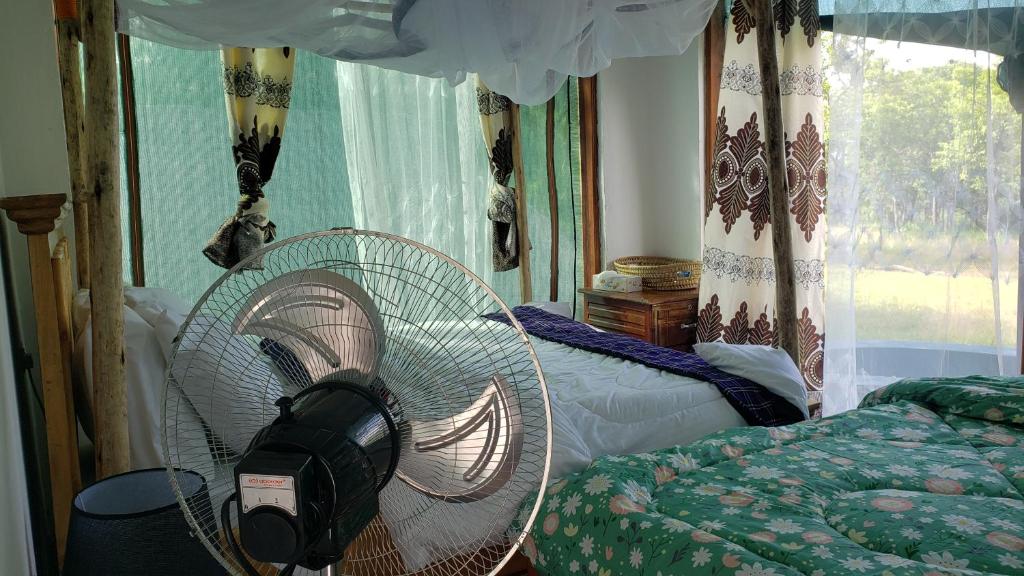 Doublegsafaris and camp mikumi photo 1