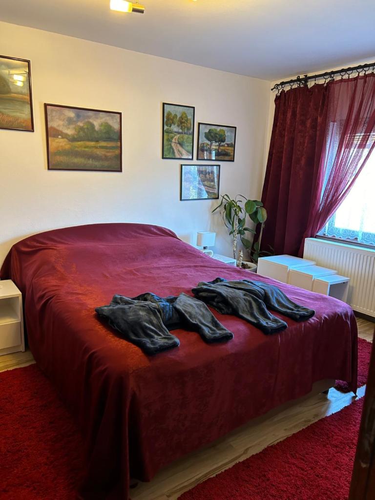Apartment Skiptar photo 3