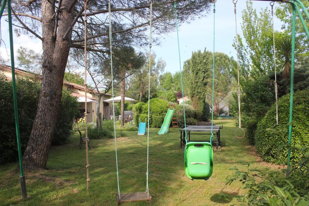 Les sittelles photo 2