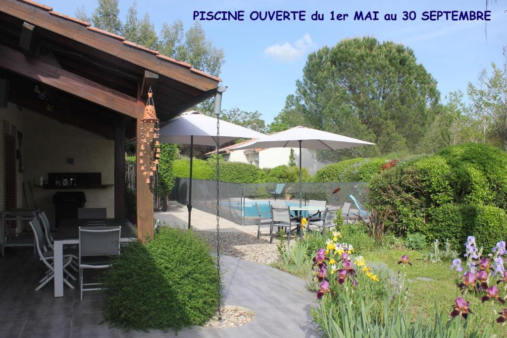 Les sittelles photo 1