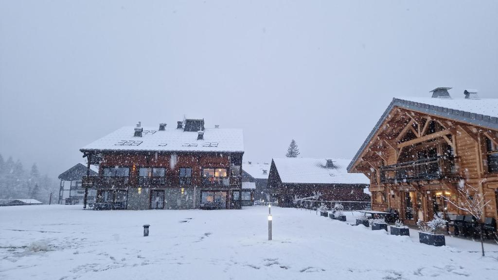 T3 rez-de-jardin avec fitness, sauna et tennis - village et ski à pied photo 4