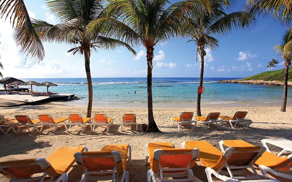 Plaisir Caraïbes photo 4