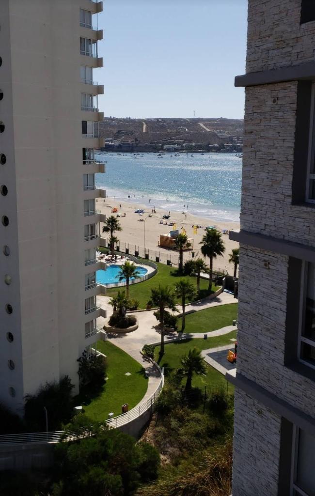 Departamento Coquimbo la Herradura piso 11