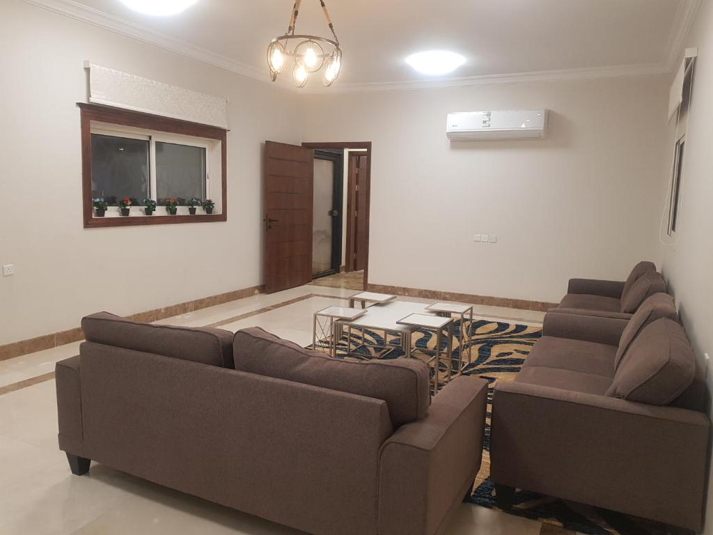 مورايا Murraya photo 4