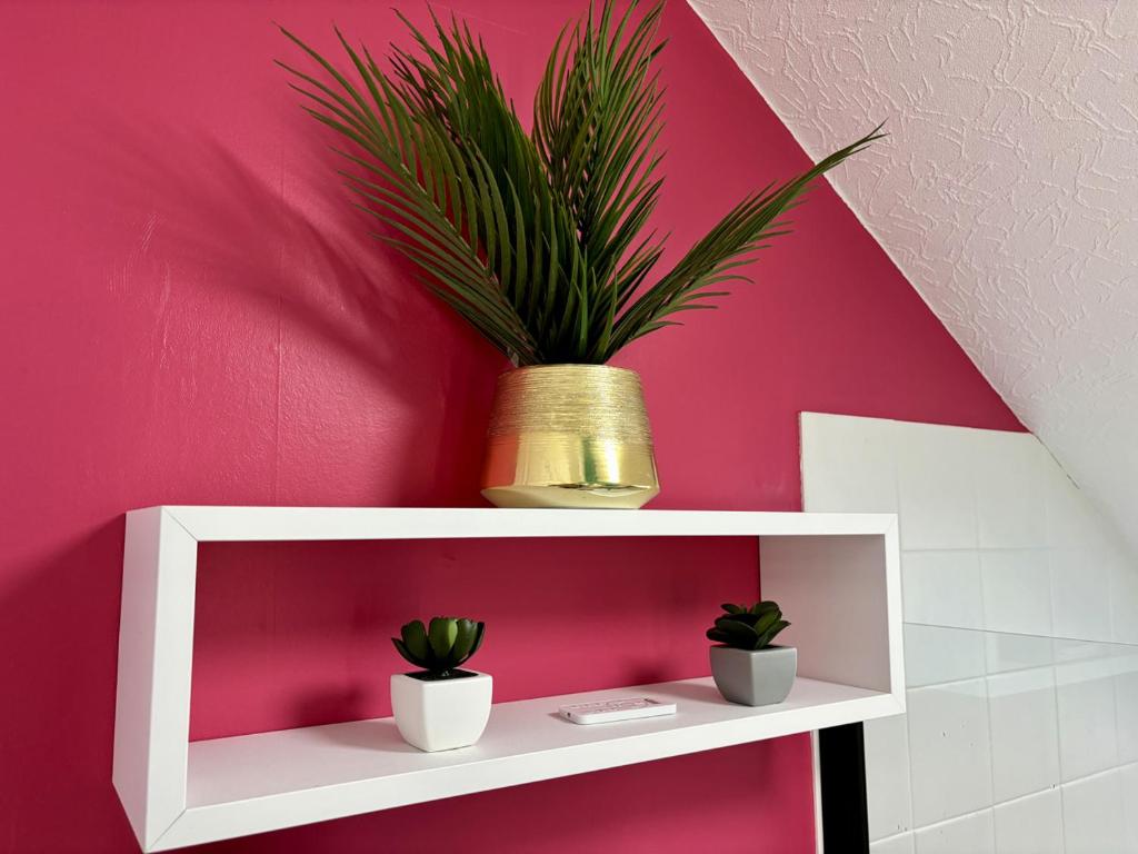 -Tropical Studio- Paisible Parking Wifi Lave-Linge photo 2