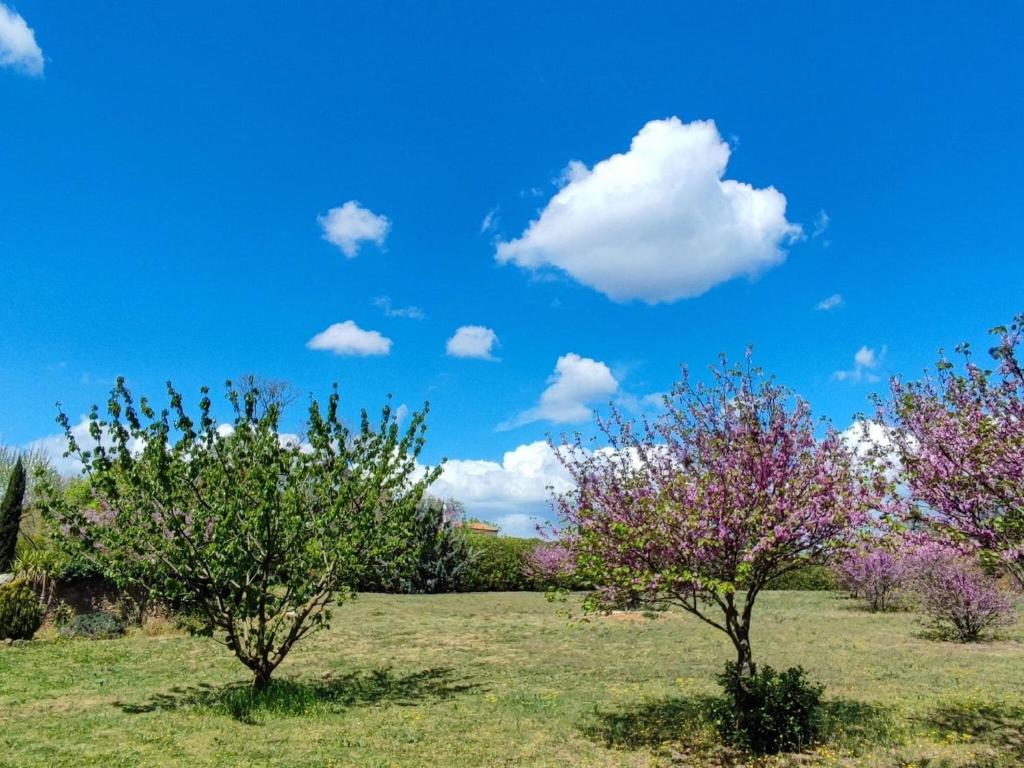 Holiday Home on private domain with park photo 3