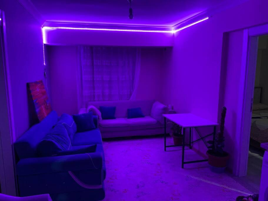 Projeksiyonlu manzaralı daire photo 4