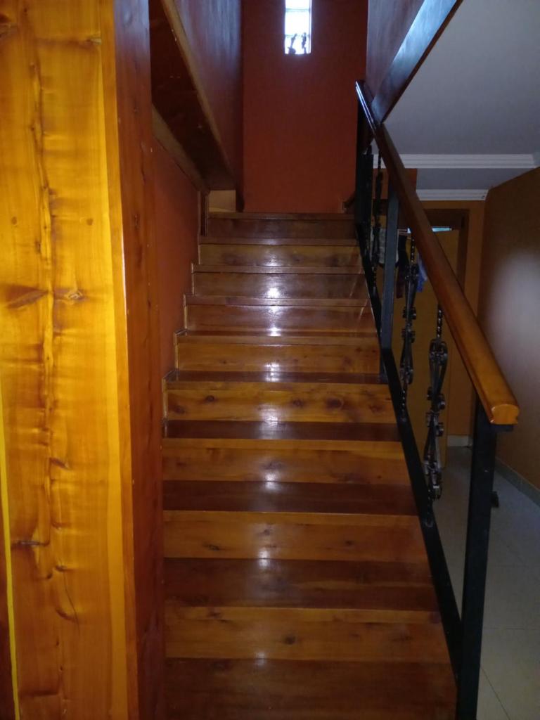 Dama del lago photo 3