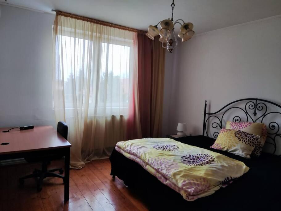 Vila spatioasa 7 camere la lacul BUftea photo 1