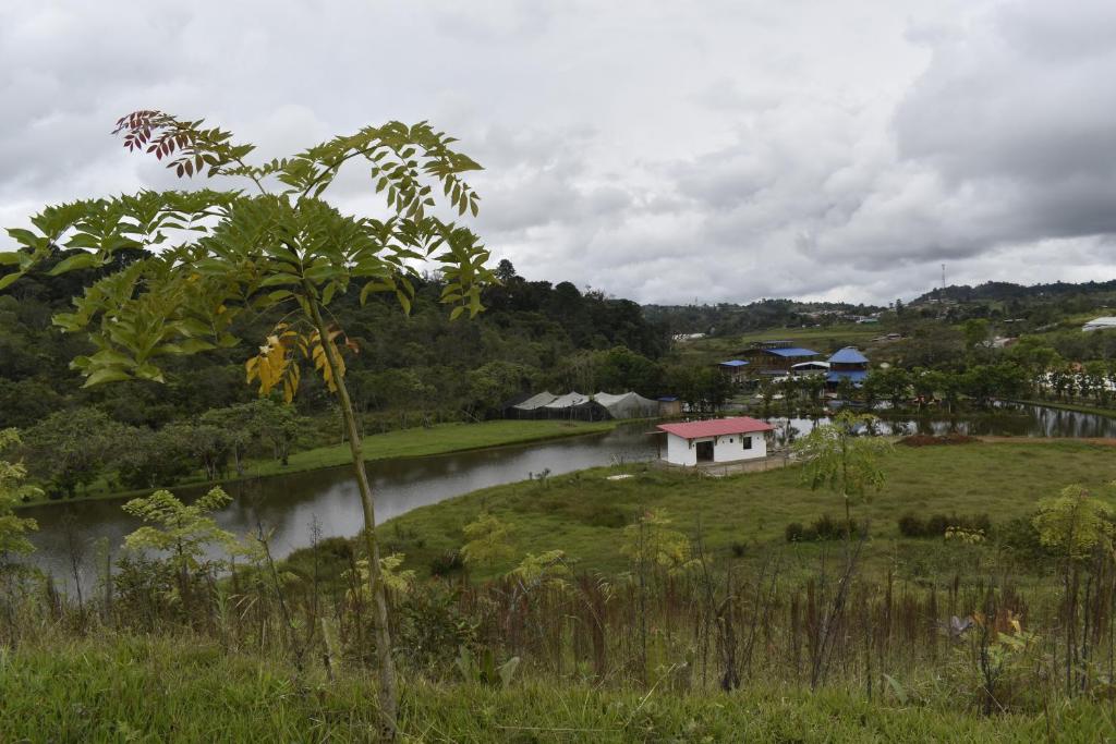 Finca el Manantial Isnos photo 1