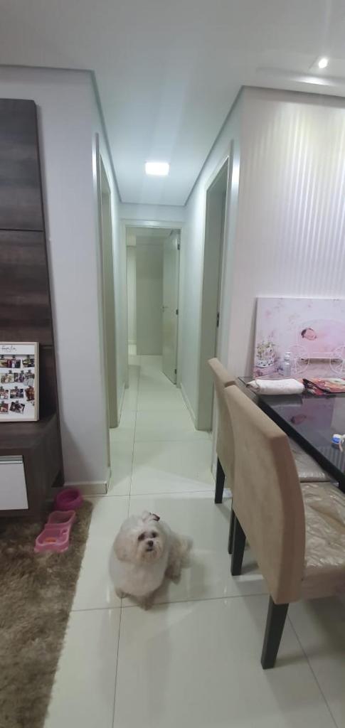 Apartamento 410 Castelo de Luxemburgo photo 2