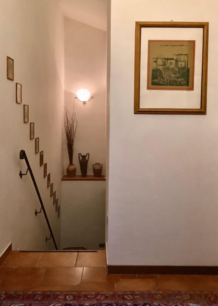 Il Bagolaro photo 2
