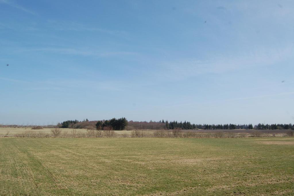 Ballum Hede 7 photo 3