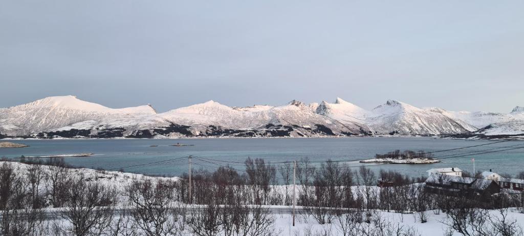 Senjavista, near nature, sea and mighty mountains photo 4