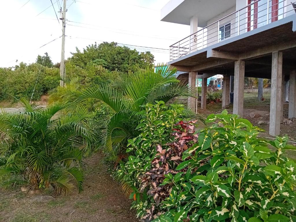 Serenity Seaview Suite photo 1