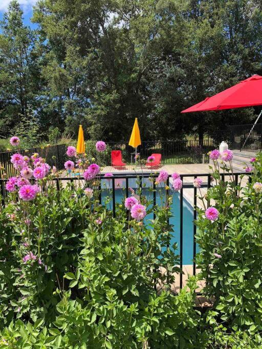Para dos matrimonios con piscina, parrilla y fogón photo 4