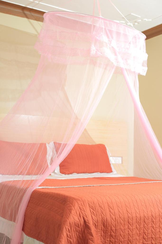 Triple Tee Gardens & Accomodation photo 3