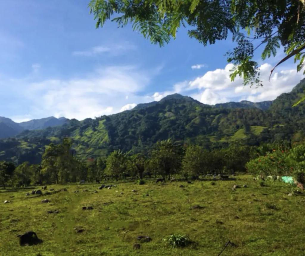 Nature villa Bonao photo 4