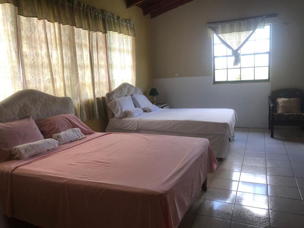 Vacation Guest House photo 3