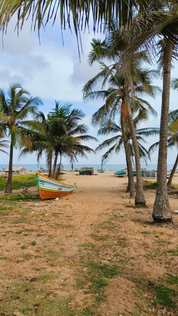 Unearth Hostel (Pondicherry) Auroville