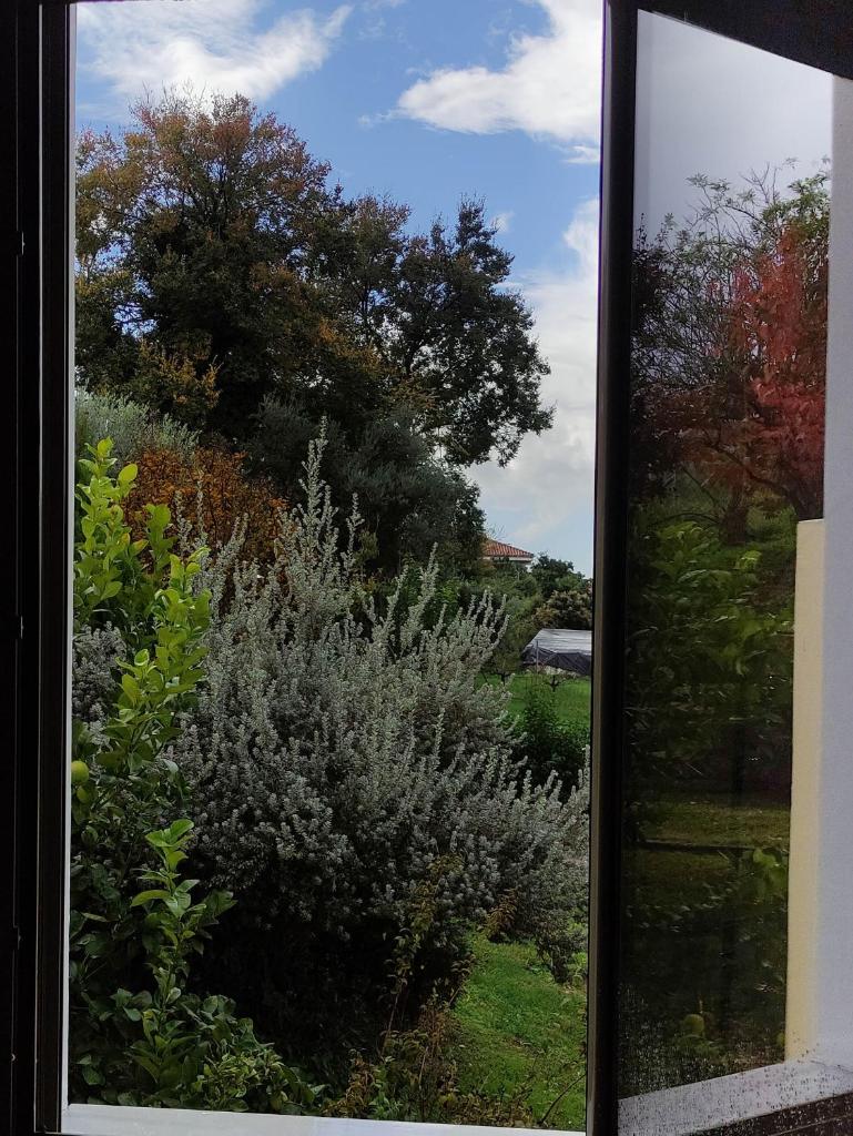 Estia guest house photo 4
