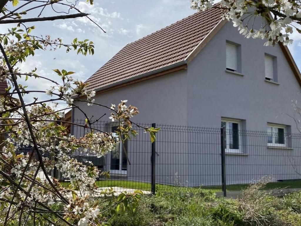 Gîte Réguisheim, 4 pièces, 6 personnes - FR-1-744-4