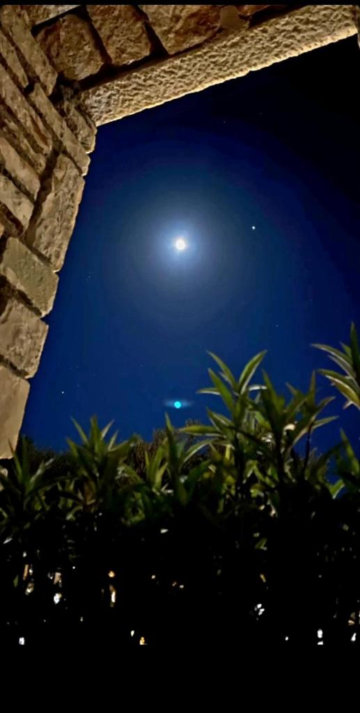 Tonea's Houses photo 2