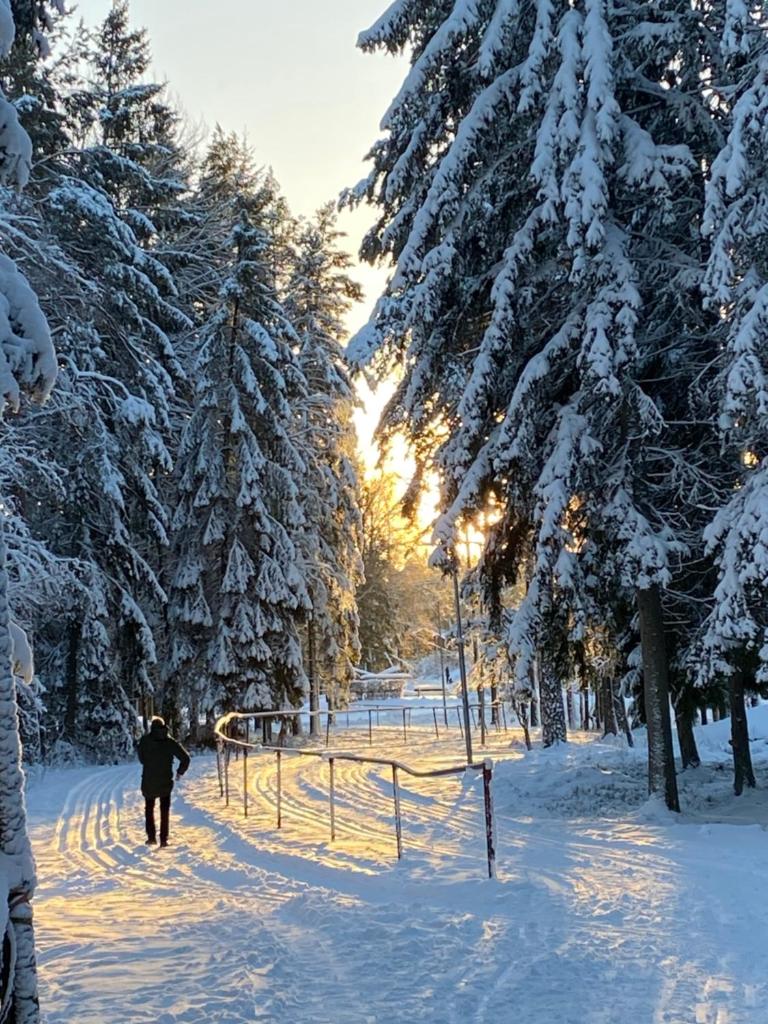 Family Holiday and Business Home with a Garden in Kallfors, Stockholm near a Golf Course, Lakes, the Baltic Sea, Forests & Nature