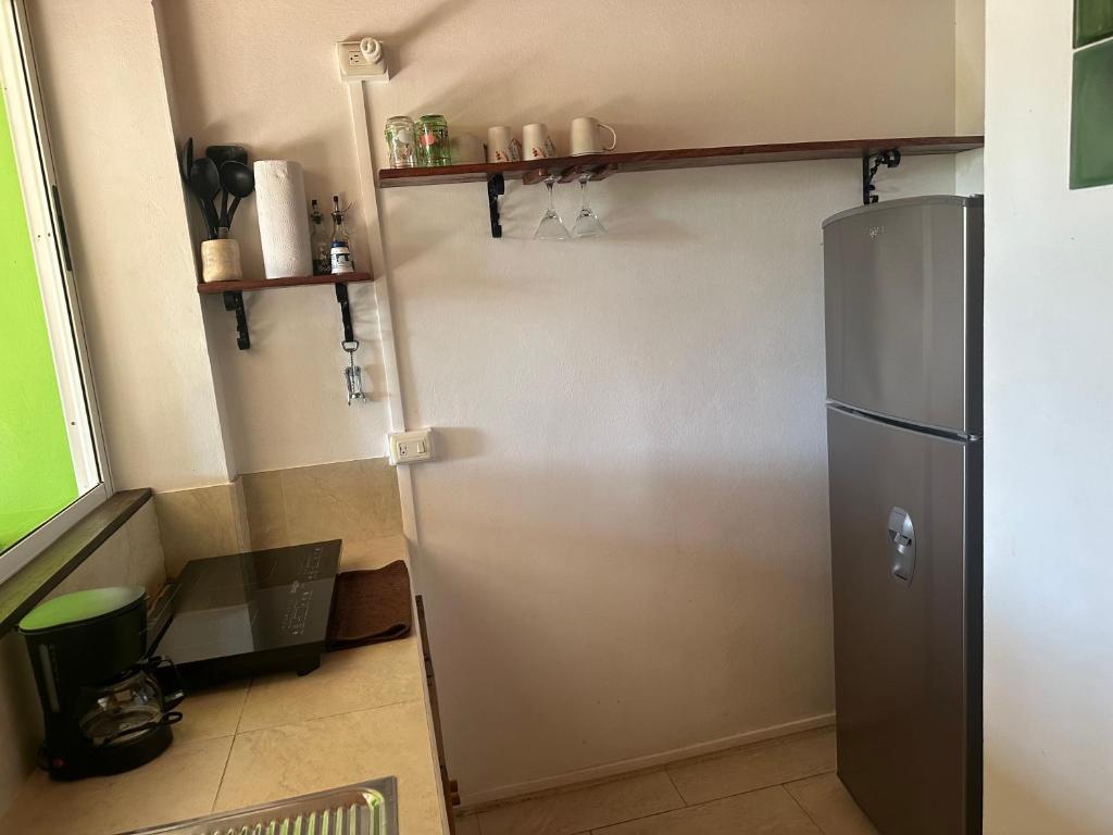 Jungle Green Studio photo 1