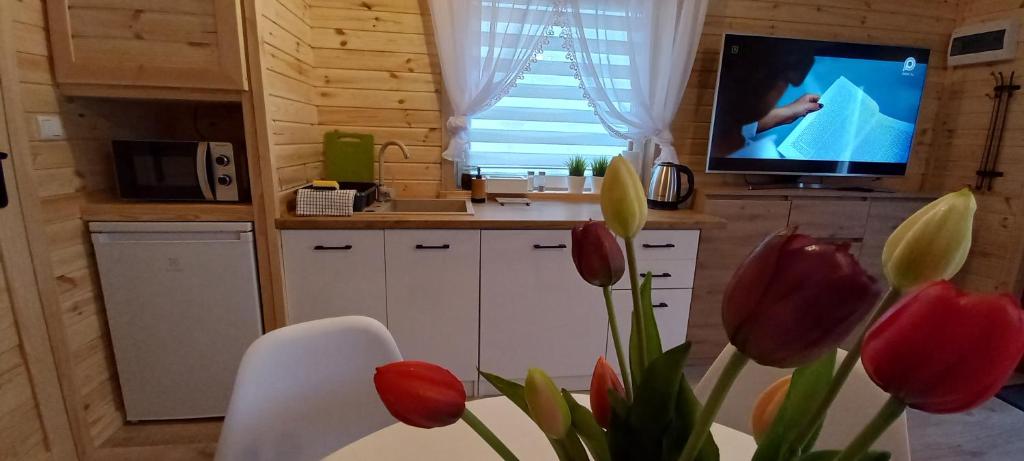 Grabska Osada SUN HOUSE - domki całoroczne ogrzewane photo 2