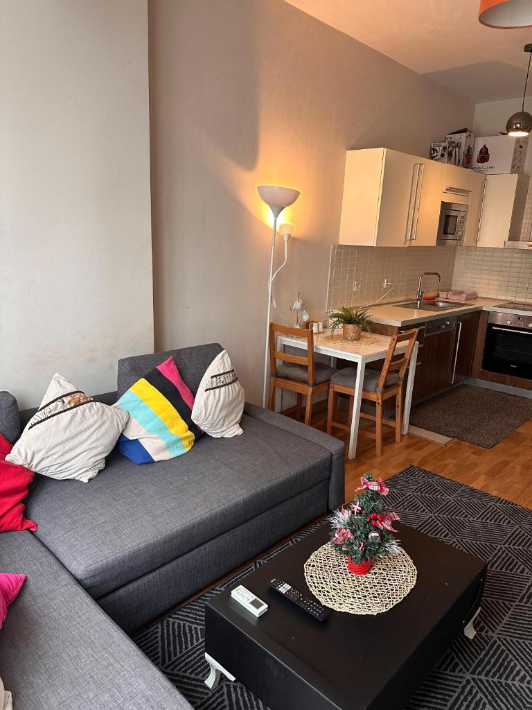 Bahcesehir Rent House