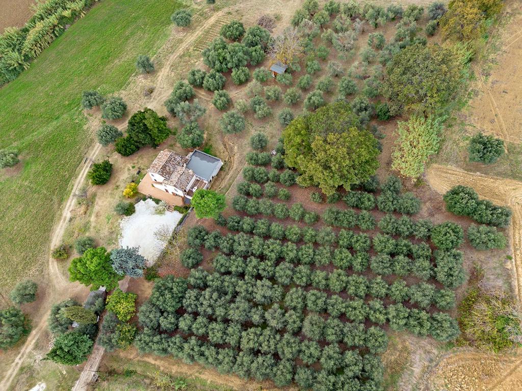 Agriturismo Il Gelso Antico photo 3