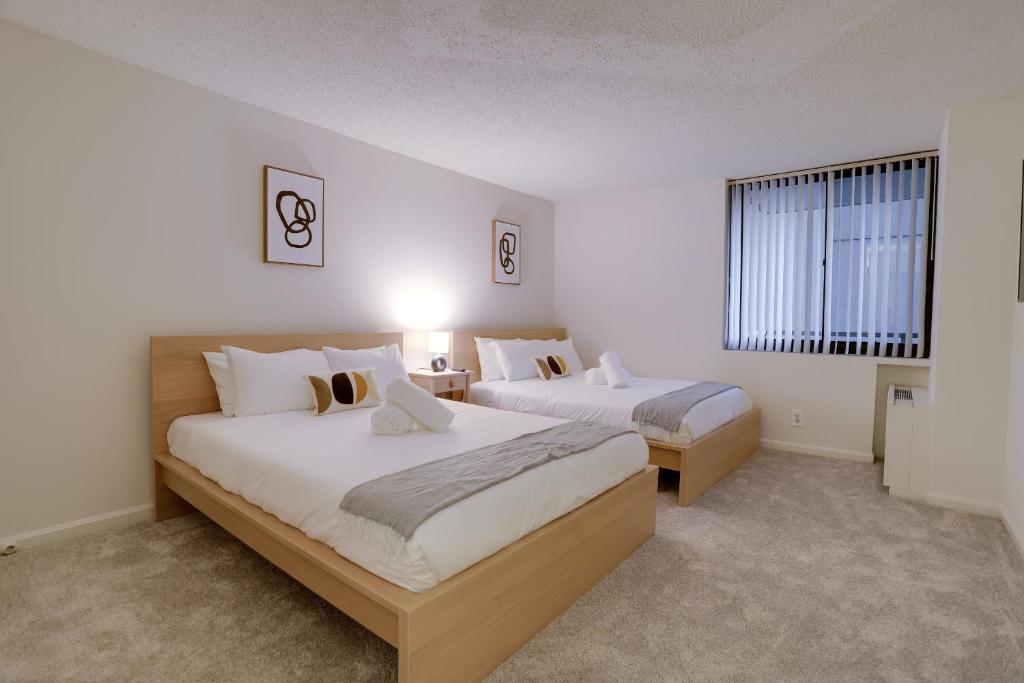 Quiet Apt with Excellent Amenities @Crystal City photo 2