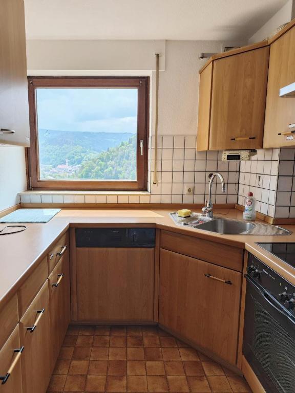 Apartment with panoramic views in the black forest photo 1