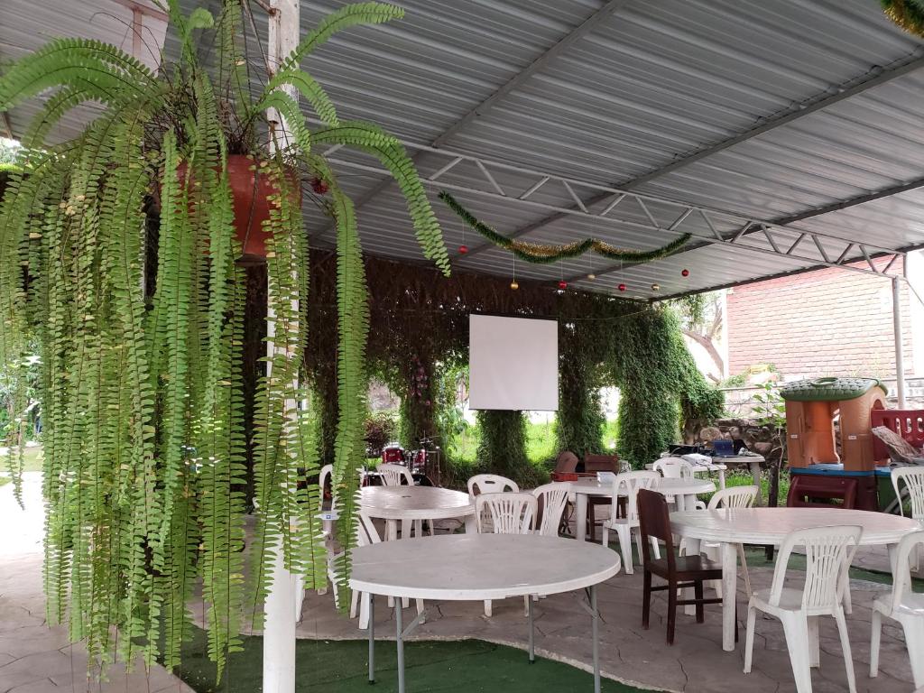HUERTA BLANCA CONACHE photo 3