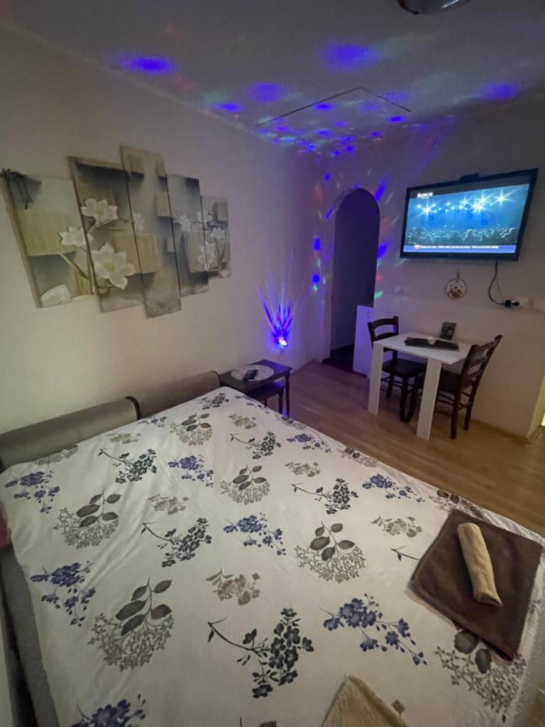 Bulevar Apartments photo 4