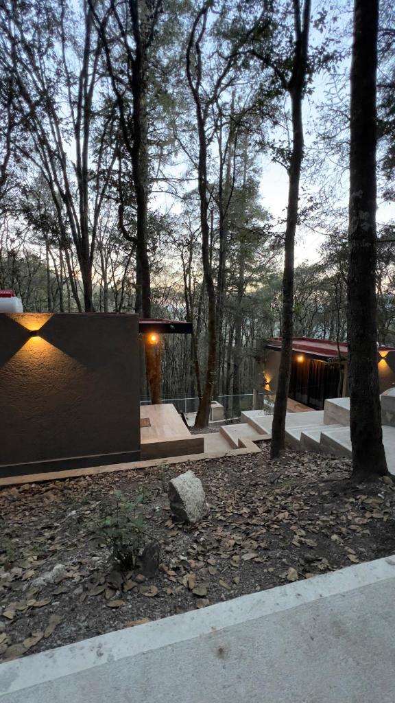Roots Luxury Cabins photo 3