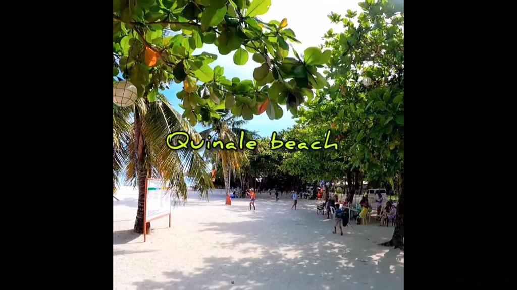 HOTEL BOHOL photo 2