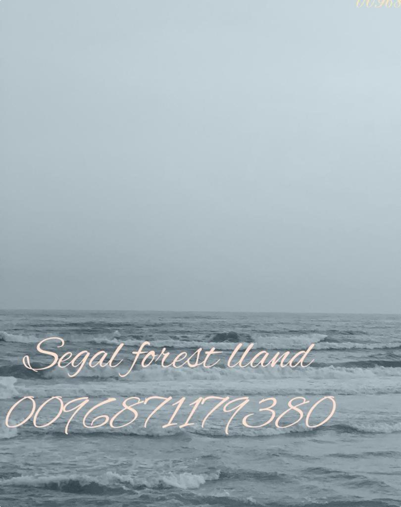 Segal Salalah-Forest Island-Hawana photo 1