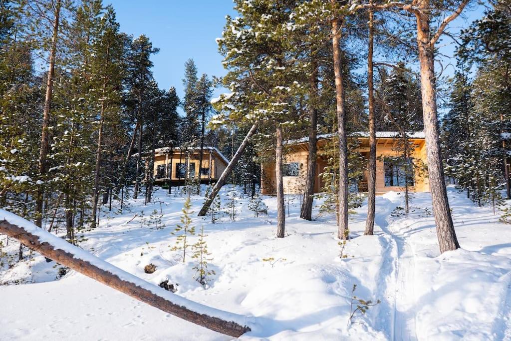 Uusi hirsimökki 7 henkilölle photo 1