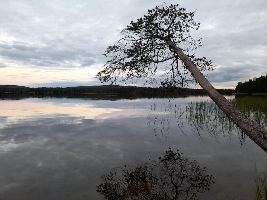 Uusi hirsimökki 7 henkilölle photo 4