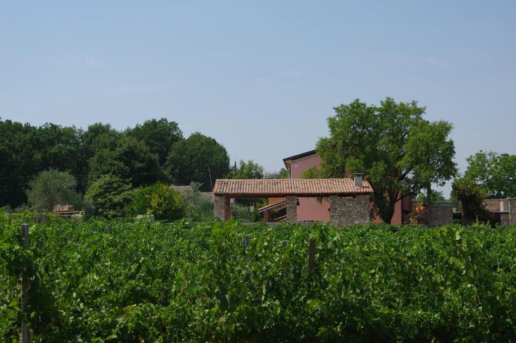 Agriturismo La Casa Del Mandorlo photo 2