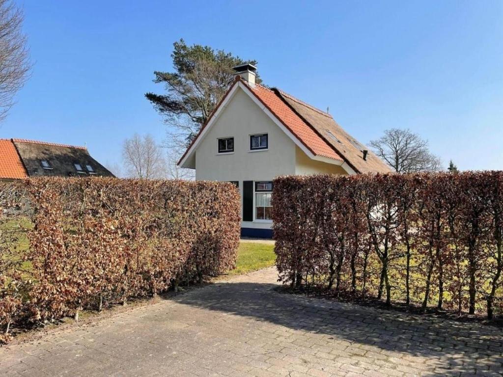 Country house with a terrace near the Langweerder Wielen photo 2