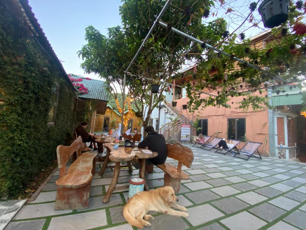 Cat Ba Rustic Homestay