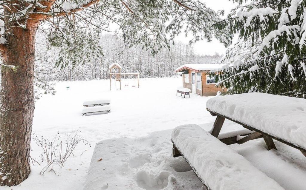 Saadjärve Kingu talu puhkemaja photo 2