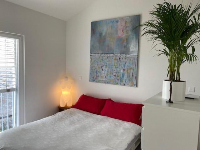 Casa Collina photo 4