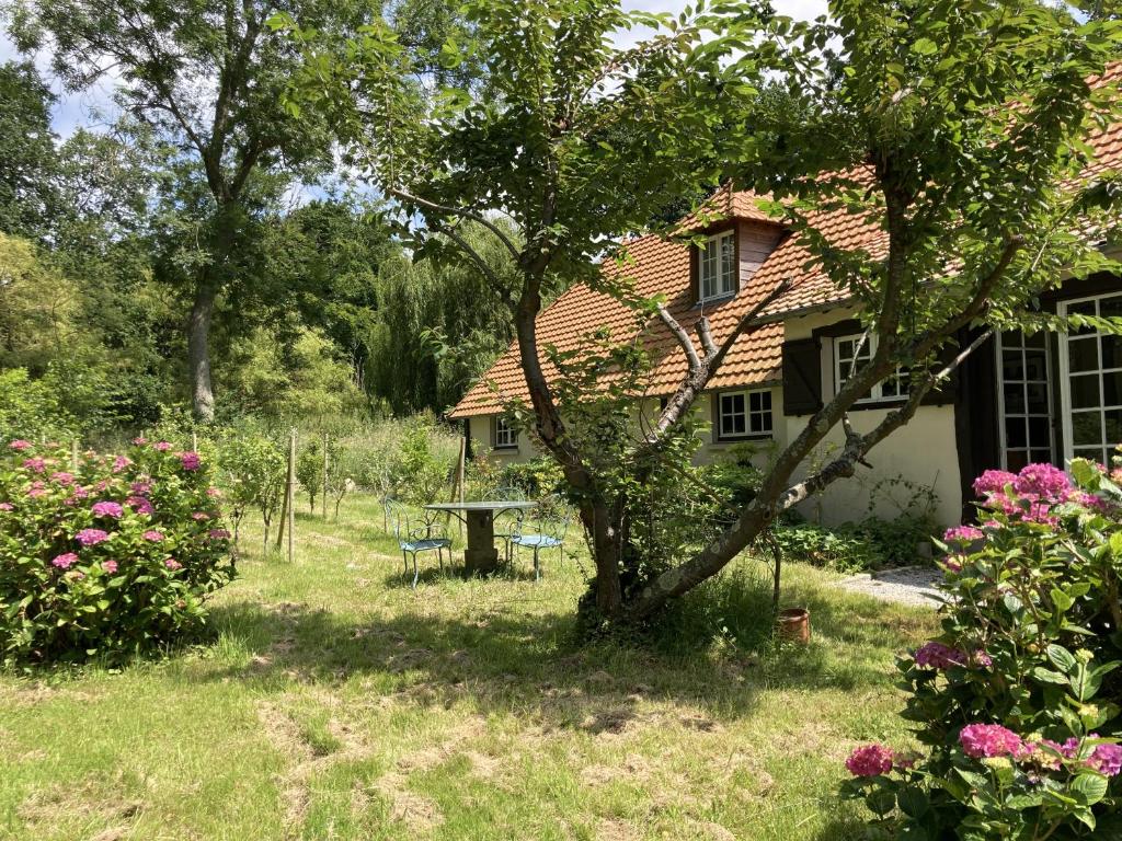 Maison de Noemie photo 3