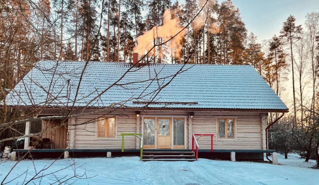 Quiet Log House, Vaikne palkmaja, Kevadekuulutaja, Harbinger of spring