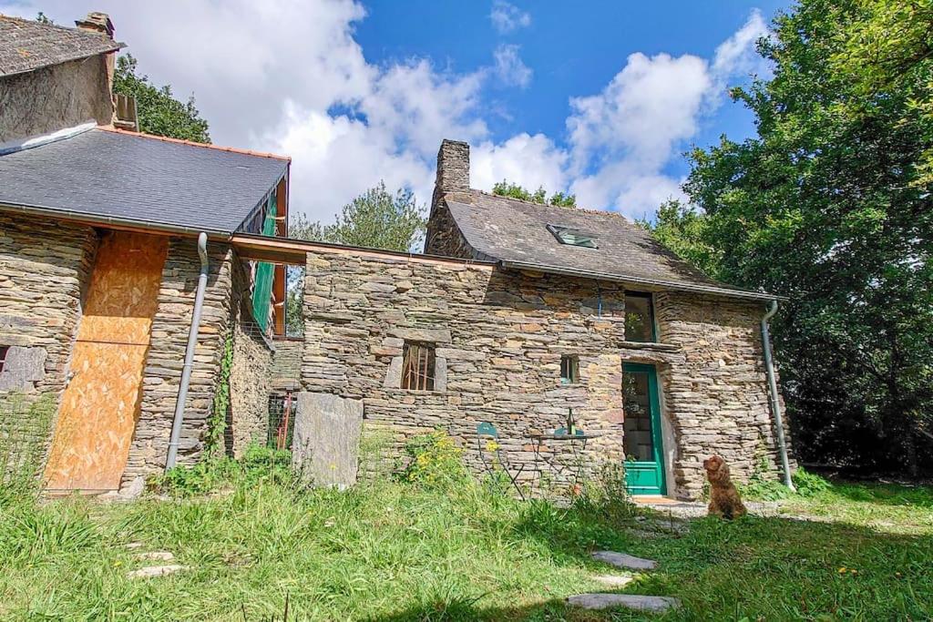 Longère tinyhouse avec son jardin-forêt photo 4